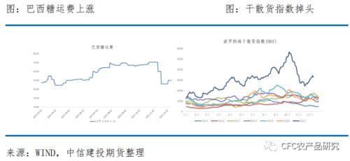 【糖史演義】“壓榨高峰”遇上“節(jié)前備貨”